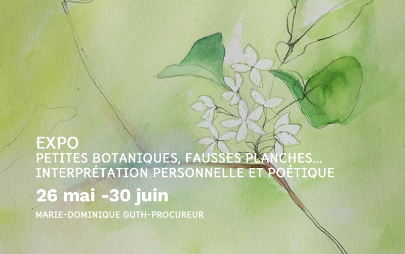 Petites botaniques, fausses planches... interprétation personnelle et poétique. Marie-Dominique Guth-Procureur