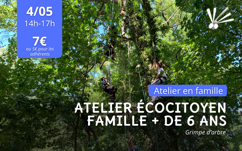 Atelier écocitoyen famille : grimpe dans les arbres