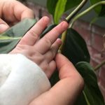 Atelier parents-enfants pour les 0-2 ans