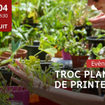 Troc plantes de printemps