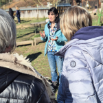 Journée interprofessionnels Faire Ecole Dehors