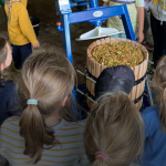 Atelier en famille : jus de pomme